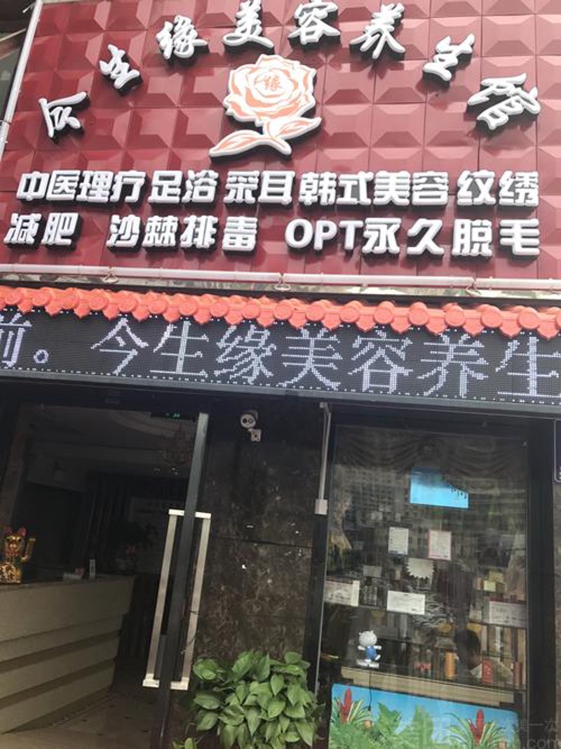 龙华区养生风潮:体验自然与健康的完美融合